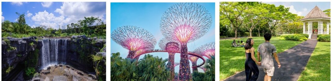 z6639237580557_d232e22b63ea4ed2639f97f3ab65fcd9