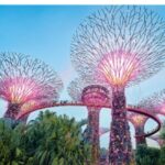 About Tourism (2025)
